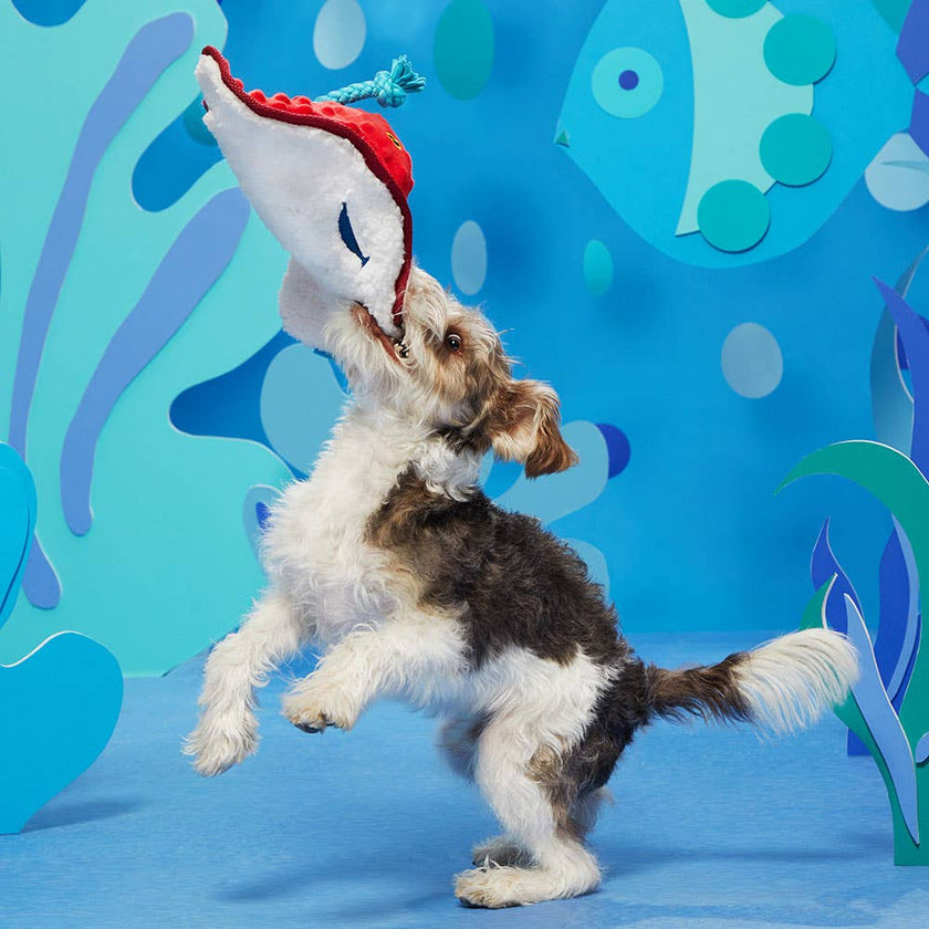 Dog Toy Stingray BARK Sting Crosby the Ray Dog Toy