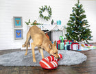 BARK Grandy Cane Christmas Candy Cane Plush Dog Toy