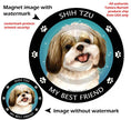 Shih Tzu Gold & White My Best Friend Circular Magnet