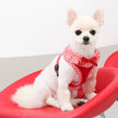 Checkered Ruffle Dog Harness Over-the-Head Vivien