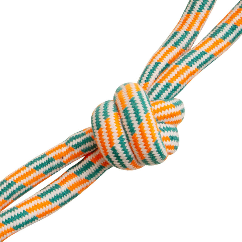 Fling n' Floss Rope Dog Toy