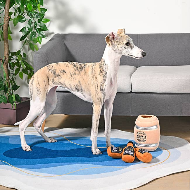 Dog Toy Whiskey Barrel Plush Food Party Toy Set