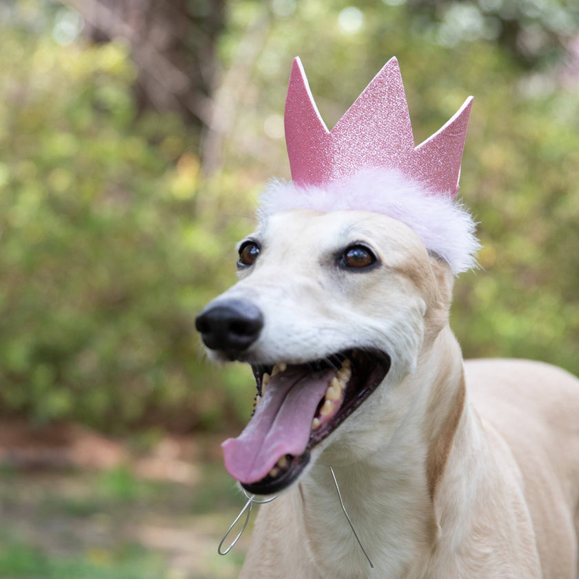 Party Crown Pink with SnugFit®