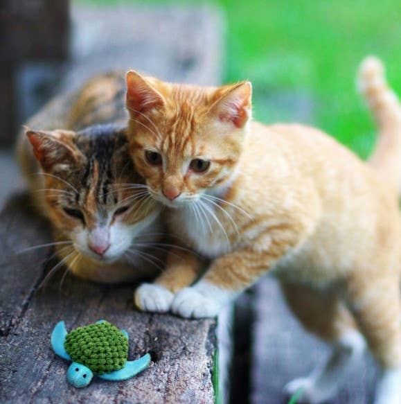 Cat Toy Turtle KONG® Refillables Turtle Catnip Plush Toy