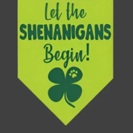 Let the Shenanigans Begin Dog Bandana