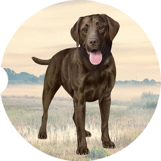 Labrador, Chocolate Car Coaster