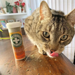 Meowijuana® Kalico Kush - Valerian Root and Catnip Blend