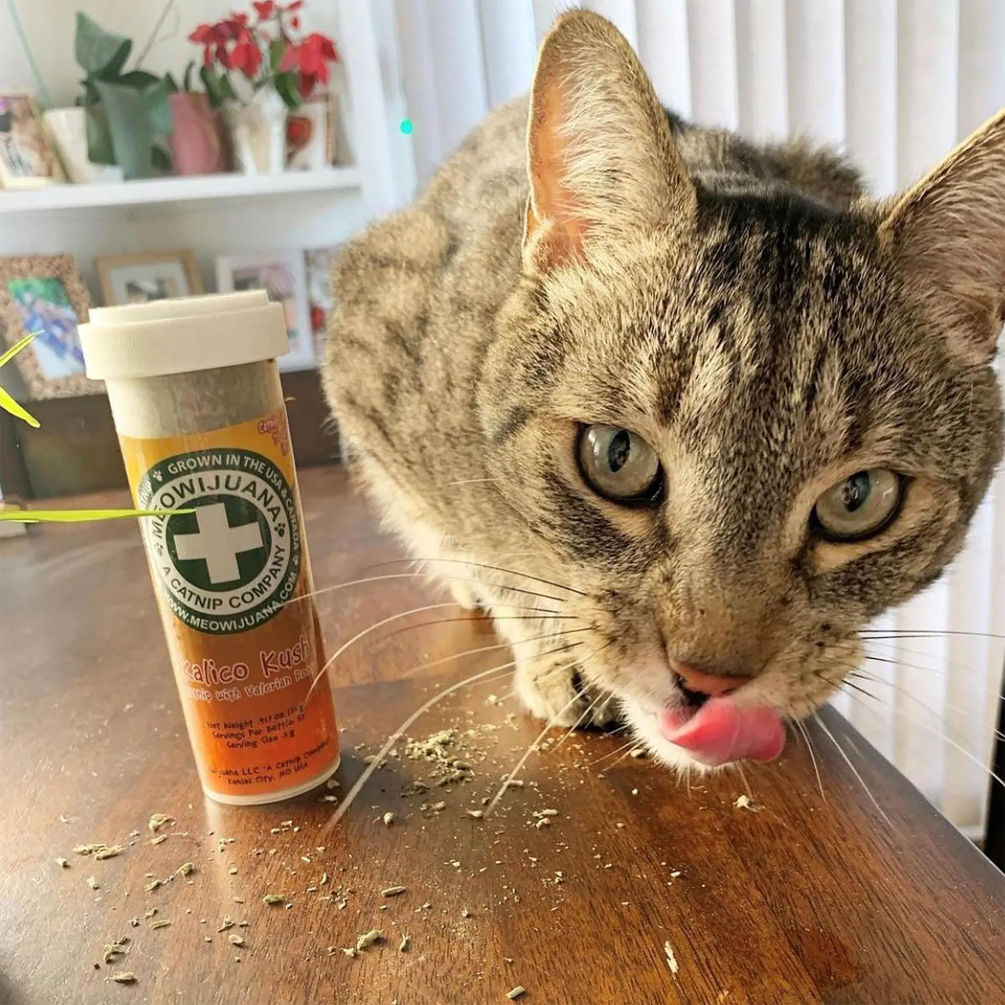 Meowijuana® Kalico Kush - Valerian Root and Catnip Blend