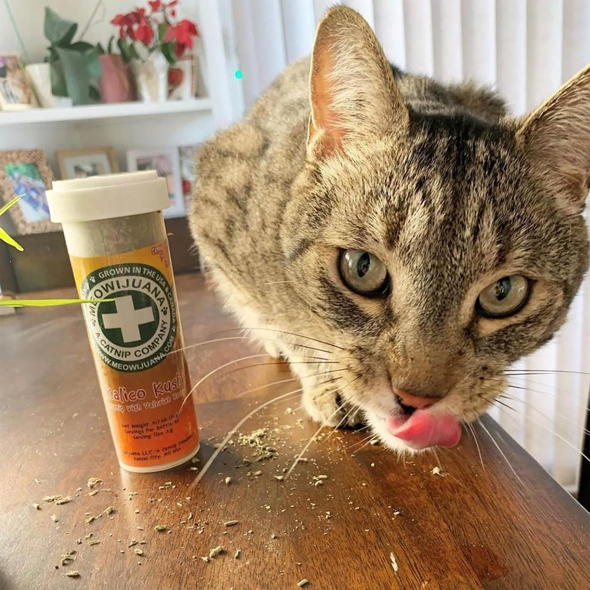 Meowijuana® Kalico Kush - Valerian Root and Catnip Blend