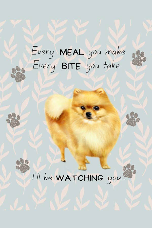 Pomeranian, oven mitt set