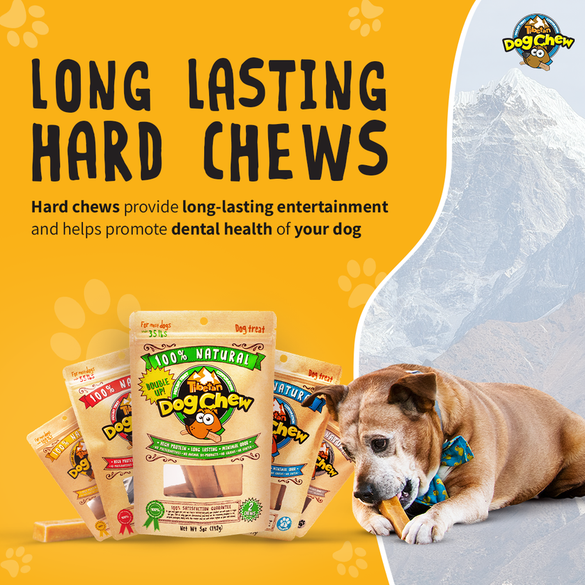 Tibetan Dog Chew Medium Double Up