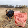 Polkadog Salmon Says Training Bits Crunchy Dog & Cat Treats