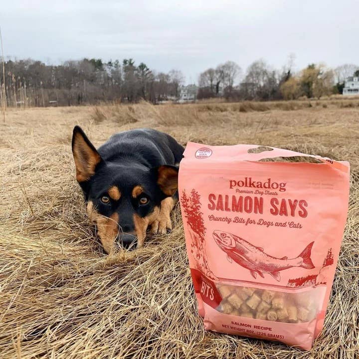 Polkadog Salmon Says Training Bits Crunchy Dog & Cat Treats