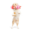Fetchies® Love Bug Dog Toy