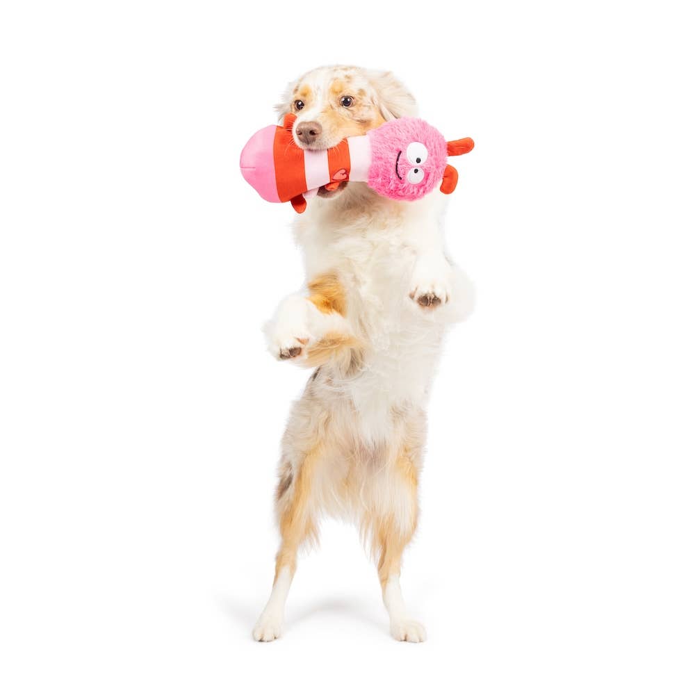 Fetchies® Love Bug Dog Toy