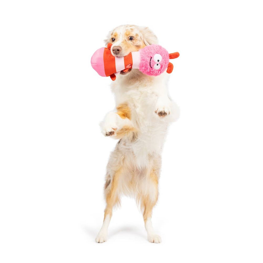 Fetchies® Love Bug Dog Toy