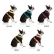Comfort X Harness Dual Snap Dog Harness