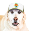 Trucker Hat for Dogs/Cats- Seagull