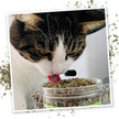 Catnip Pawty Mix