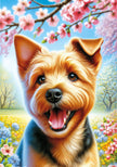 Norfolk Terrier Colorful Spring Large House Flag