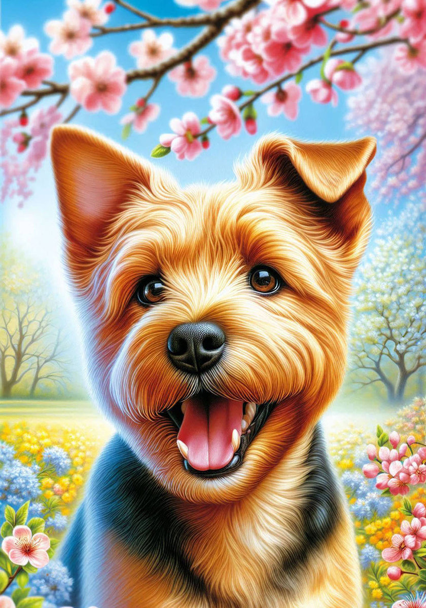 Norfolk Terrier Colorful Spring Large House Flag