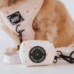 Dog Waste Bag Holder Dainty Daisy With Clasp