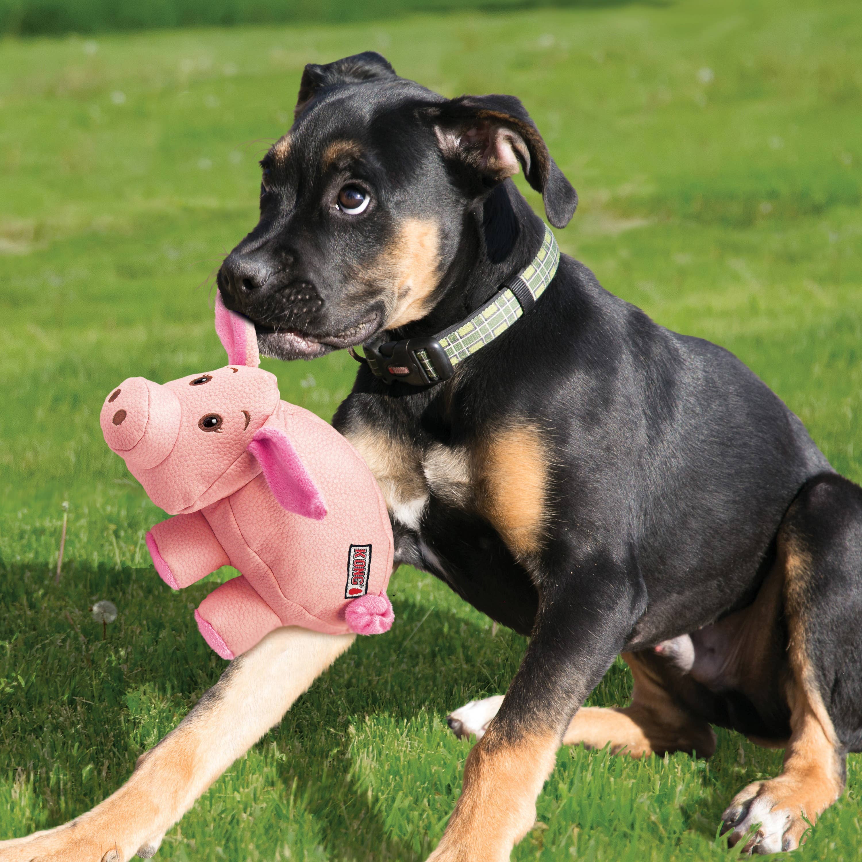 KONG® Phatz™ Pig Dog Chew Toy Small