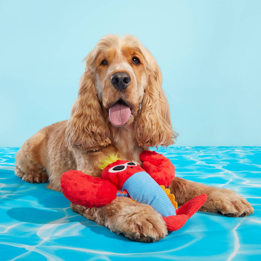 BARK Brock Lobster Plush Dog Toy