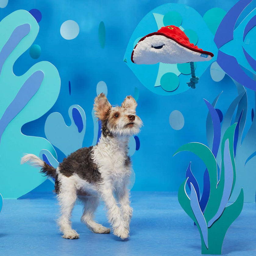 Dog Toy Stingray BARK Sting Crosby the Ray Dog Toy