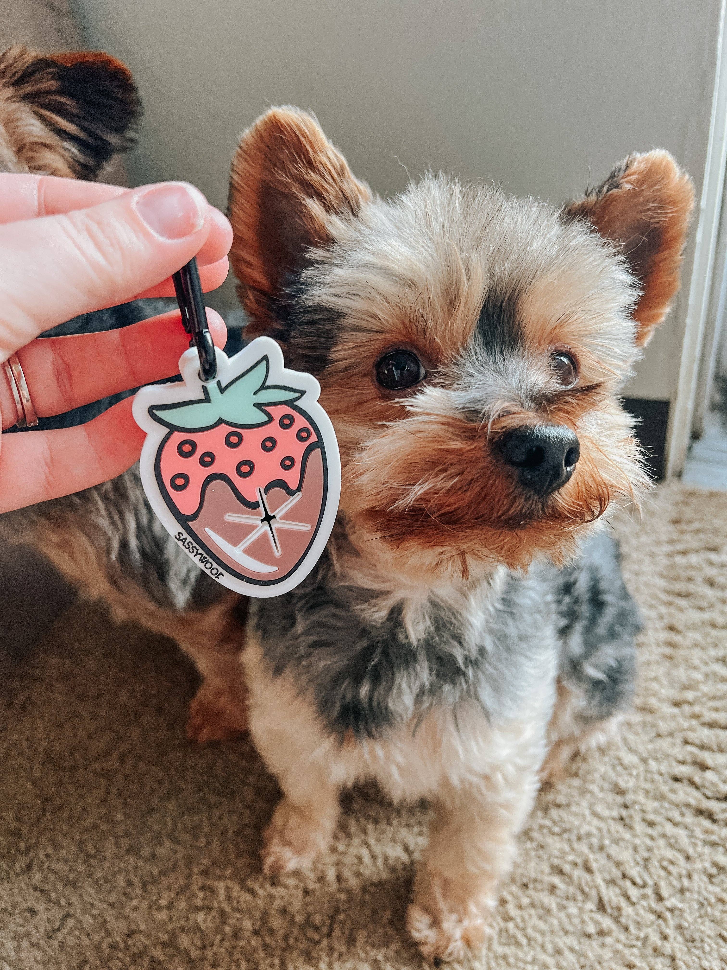 Potty Pal - Chocolate Strawberry