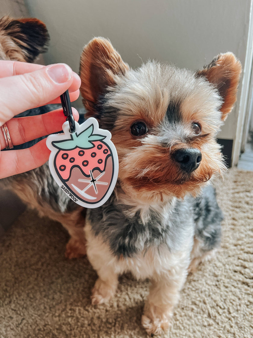 Potty Pal - Chocolate Strawberry