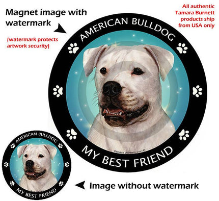 American Bulldog White My Best Friend Circular Magnet