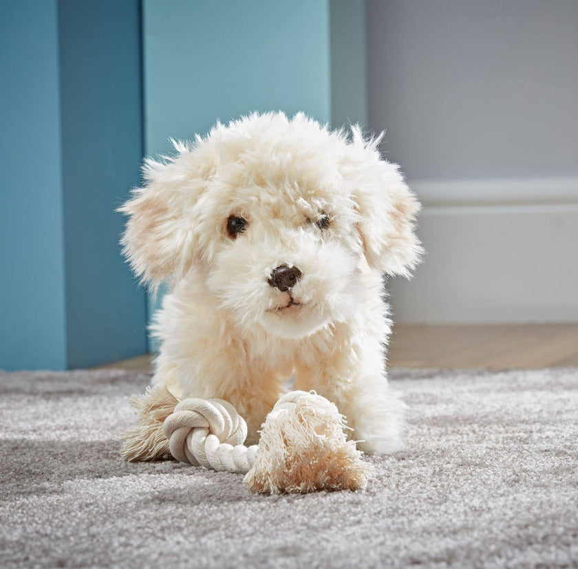 Living Nature Labradoodle