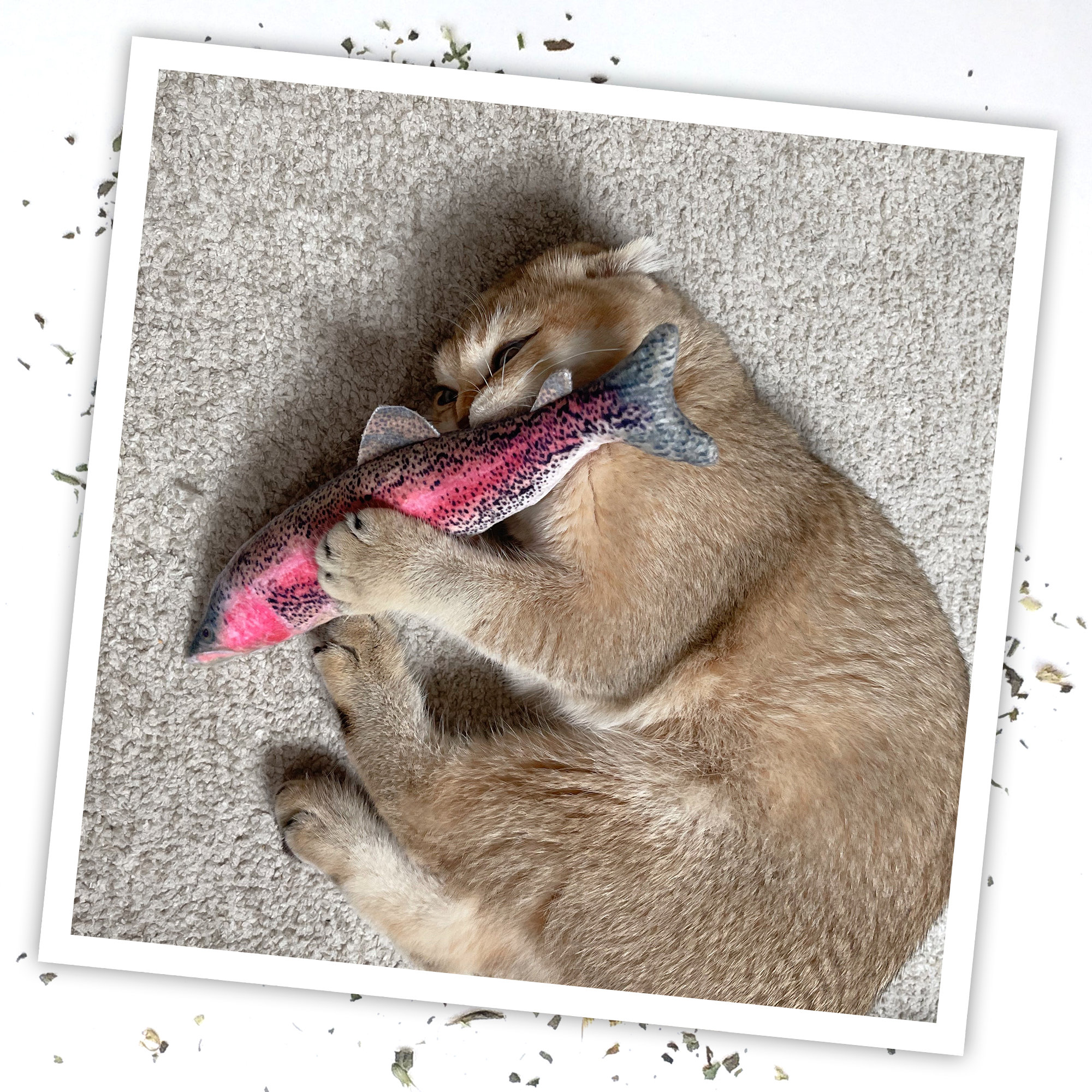 Get Smoked Rainbow Trout Refillable Catnip Cat Toy