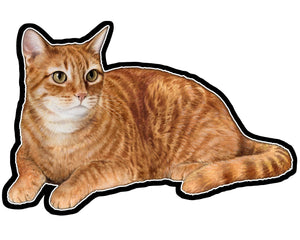 Orange Tabby  - Vinyl Sticker