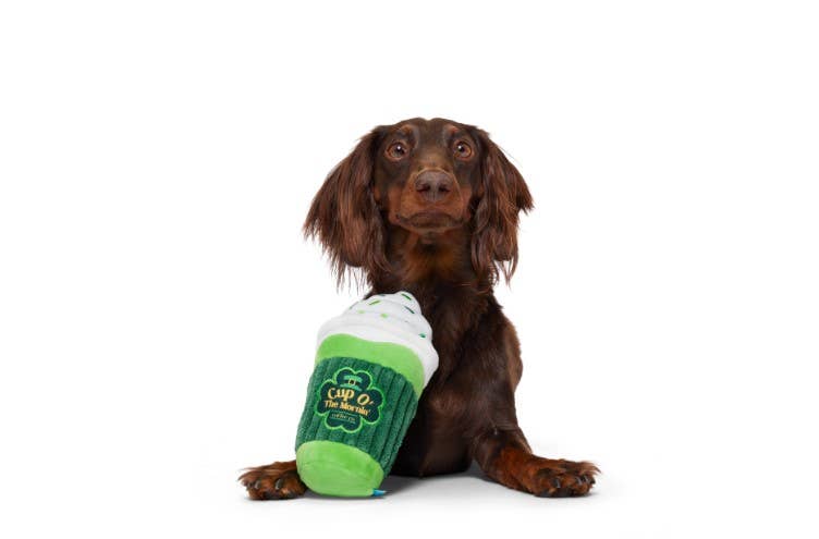 BARK Cup O' The Mornin' Coffee St. Patrick's Day Dog Toy ALL