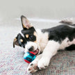 KONG® Squeezz Action Ball Dog Chew Toy Red Large