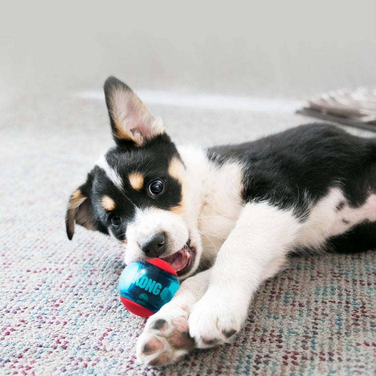 KONG® Squeezz Action Ball Dog Chew Toy Red Large