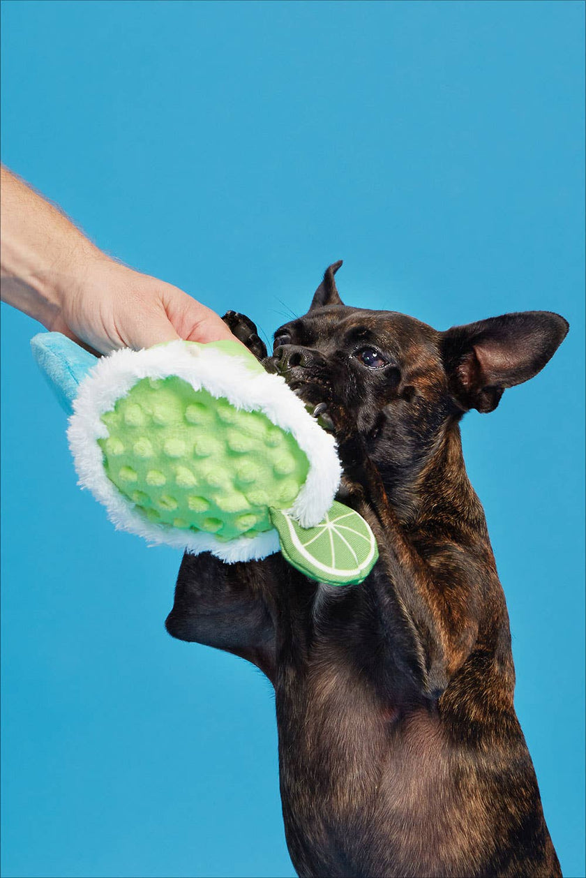 BARK Muy Squeaky Margarita Dog Toy
