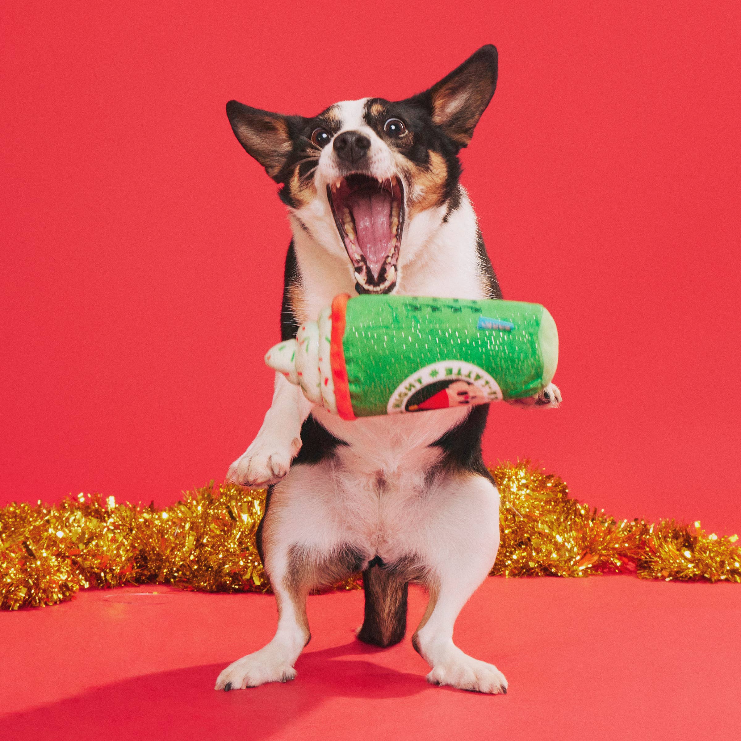 BARK Up All Night Latte Dog Toy