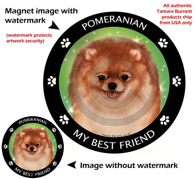 Pomeranian Orange My Best Friend Circular Magnet