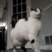 Meowijuana® Catnip & Honeysuckle Bubbles