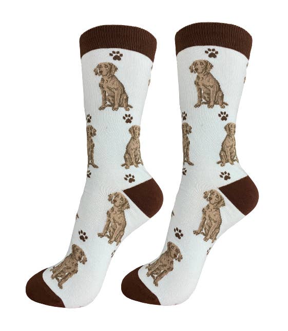 Weimaraner Socks - Fun Novelty Dog Socks - Unisex