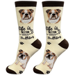 Bulldog Dog Socks Unisex