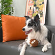 Dog Toy Highland Cow Dog Floating Ball Toy