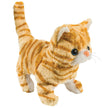 Westminster Casanova The Walking Kitten