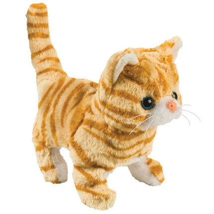 Westminster Casanova The Walking Kitten