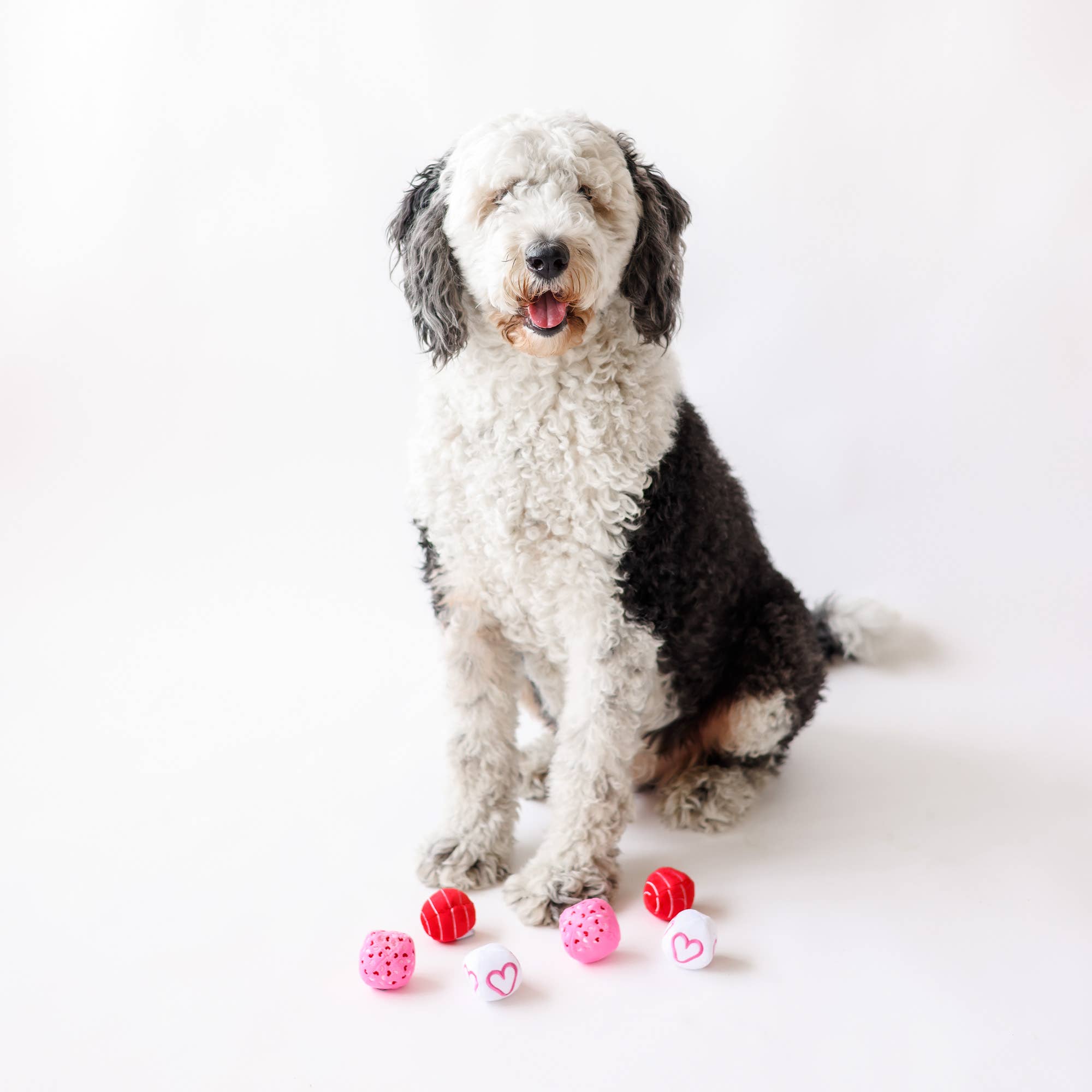 Valentine Plush Ball Dog Toy Single Assorted