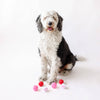 Valentine Plush Ball Dog Toy Single Assorted