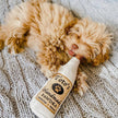 Toto's Pawdka Dog Toy